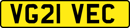 VG21VEC