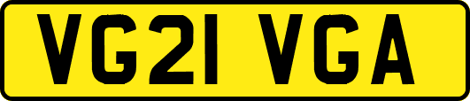 VG21VGA