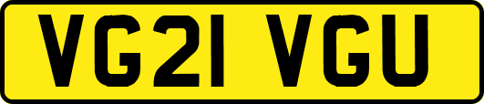 VG21VGU