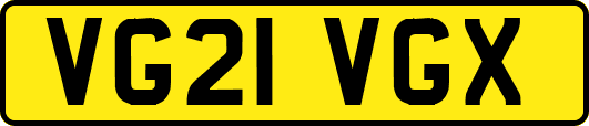 VG21VGX
