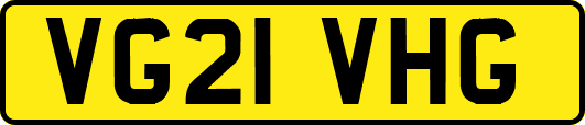 VG21VHG