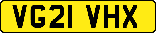 VG21VHX