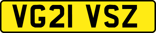 VG21VSZ