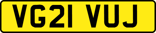 VG21VUJ