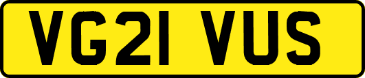 VG21VUS