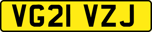 VG21VZJ