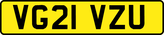 VG21VZU