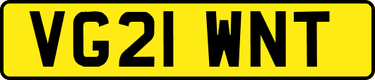 VG21WNT