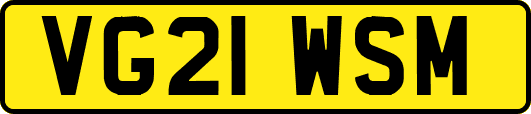 VG21WSM