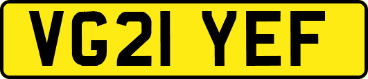 VG21YEF