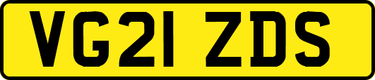 VG21ZDS