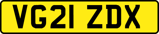 VG21ZDX