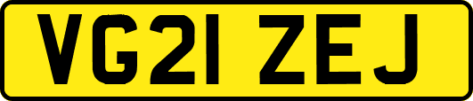 VG21ZEJ