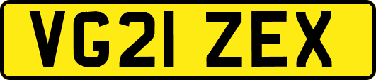 VG21ZEX