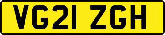 VG21ZGH