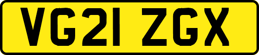 VG21ZGX