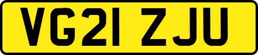 VG21ZJU