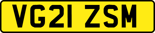VG21ZSM