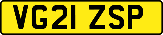 VG21ZSP