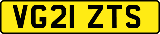 VG21ZTS