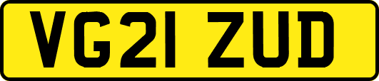 VG21ZUD
