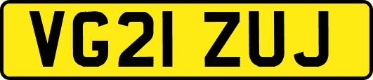VG21ZUJ