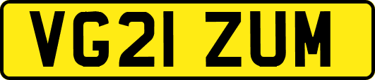VG21ZUM
