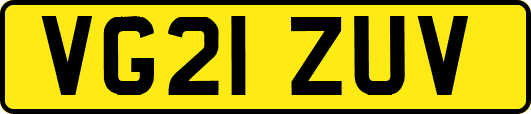 VG21ZUV