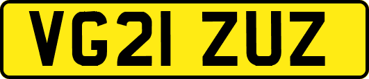 VG21ZUZ