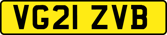 VG21ZVB