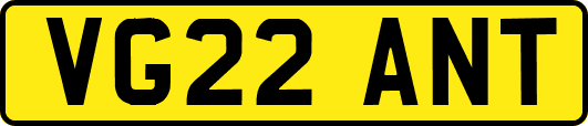 VG22ANT