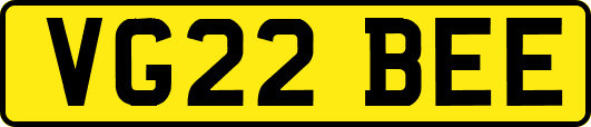 VG22BEE