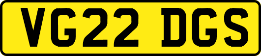 VG22DGS