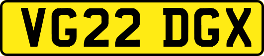 VG22DGX