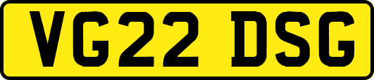 VG22DSG