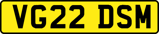 VG22DSM