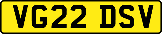 VG22DSV