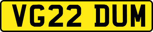 VG22DUM