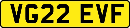 VG22EVF