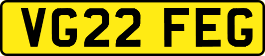 VG22FEG