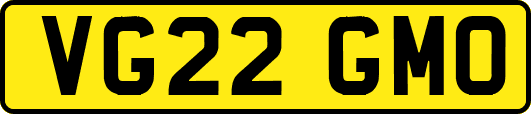 VG22GMO