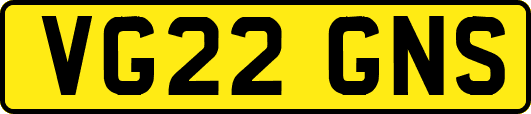 VG22GNS
