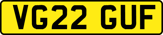 VG22GUF