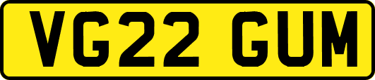 VG22GUM