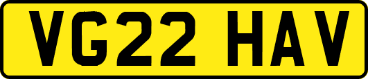 VG22HAV