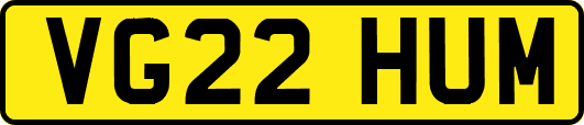 VG22HUM