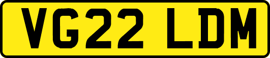 VG22LDM