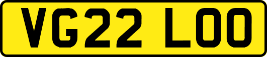 VG22LOO