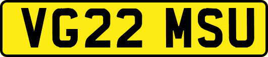 VG22MSU