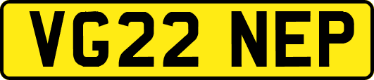 VG22NEP